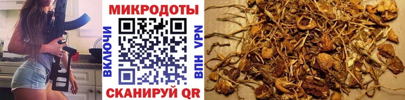 Галлюциногенные грибы MAGIC MUSHROOMS omg вход Райчихинск